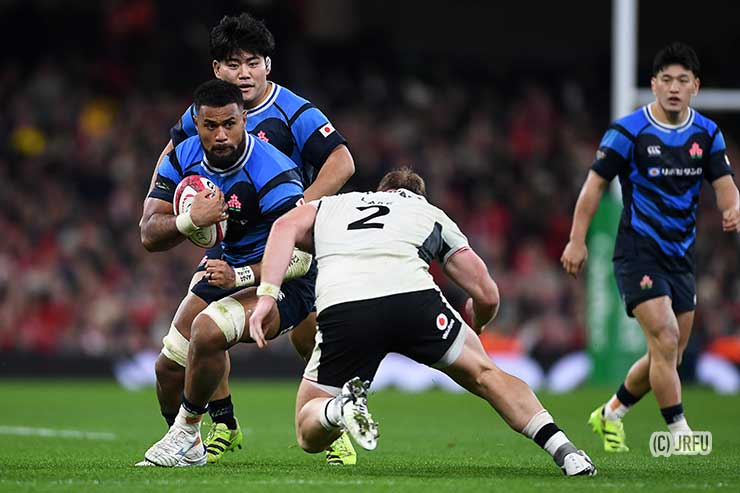 マキシファウルア