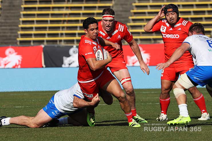 アントン・レイナードブラウン