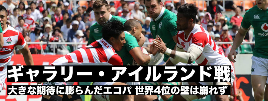 ギャラリー・アイルランド戦　20170617